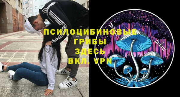 не бодяженный Алексин