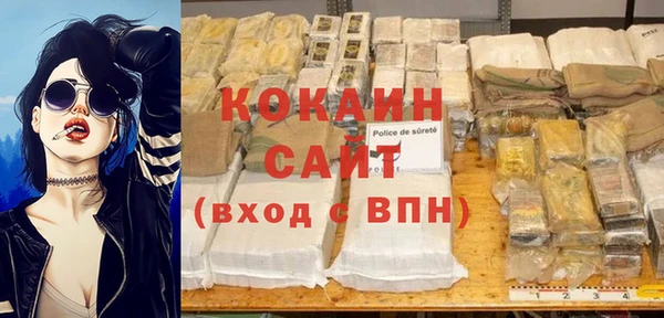 сатива Алзамай