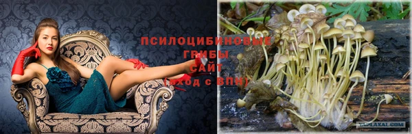 сатива Алзамай
